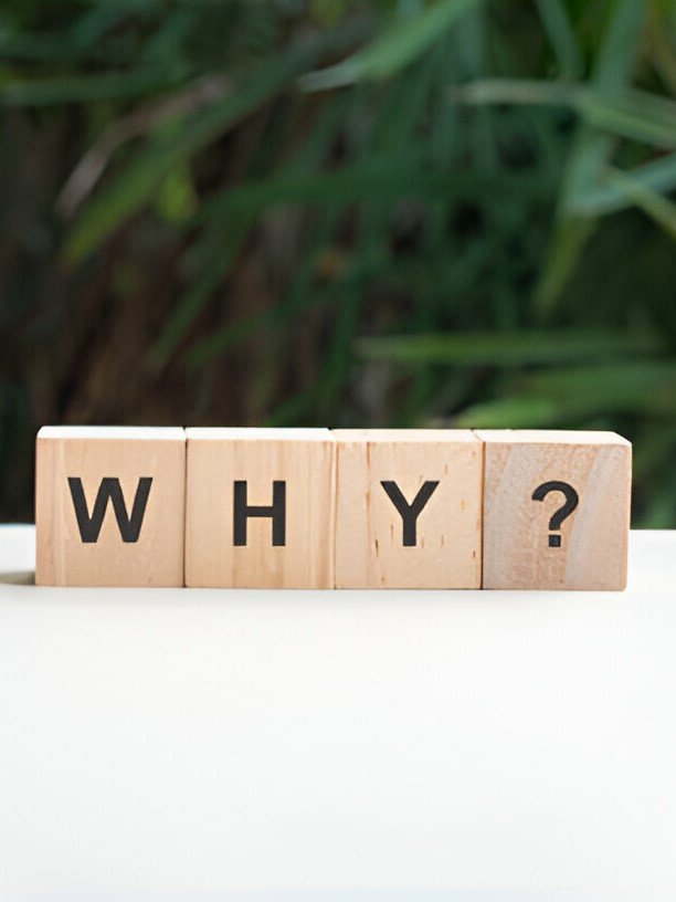 why this untold path website