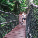 kl eco forest park featured image